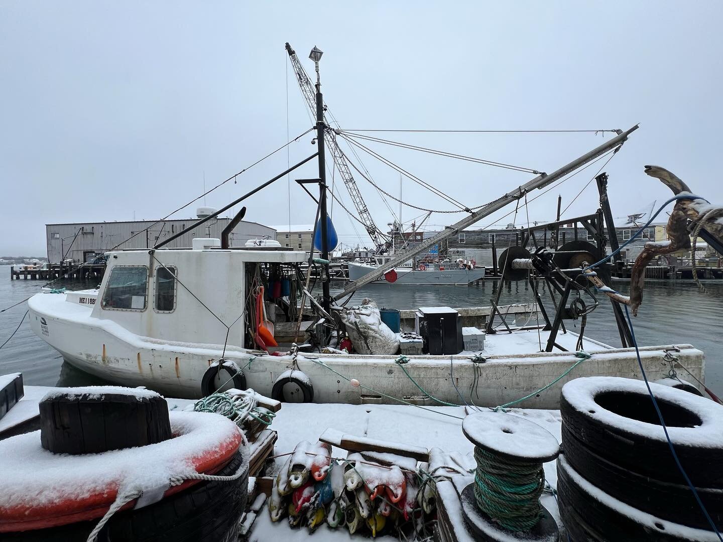 Nothing screams January quite like some snowy boat pictures!!🌊❄️

Enjoy these beautiful photos of sweet, Anna Marie and Perseverance, taken on this wet Friday!🌨️

Stay dry, stay safe, and stay tuned for more Bangs Island Mussels content!😄

#mussel