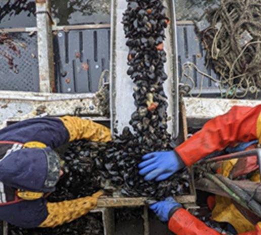 Seafood Source, Apr 18 2023