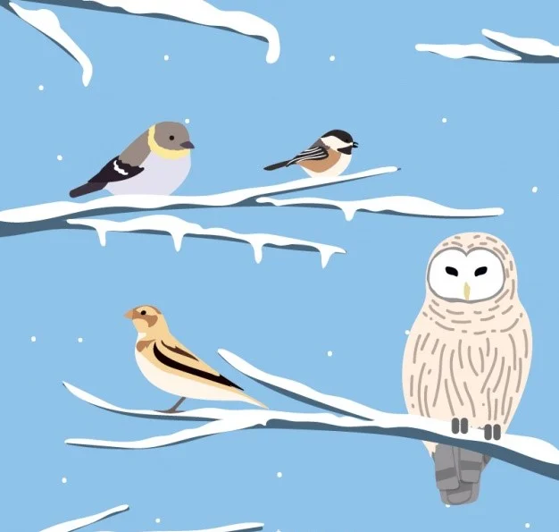 Snow Birds