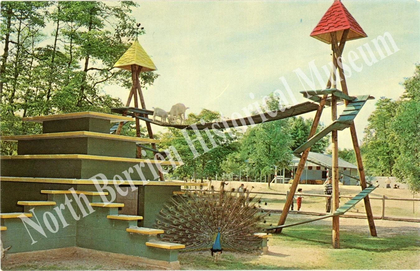 Deer Forest.jpg