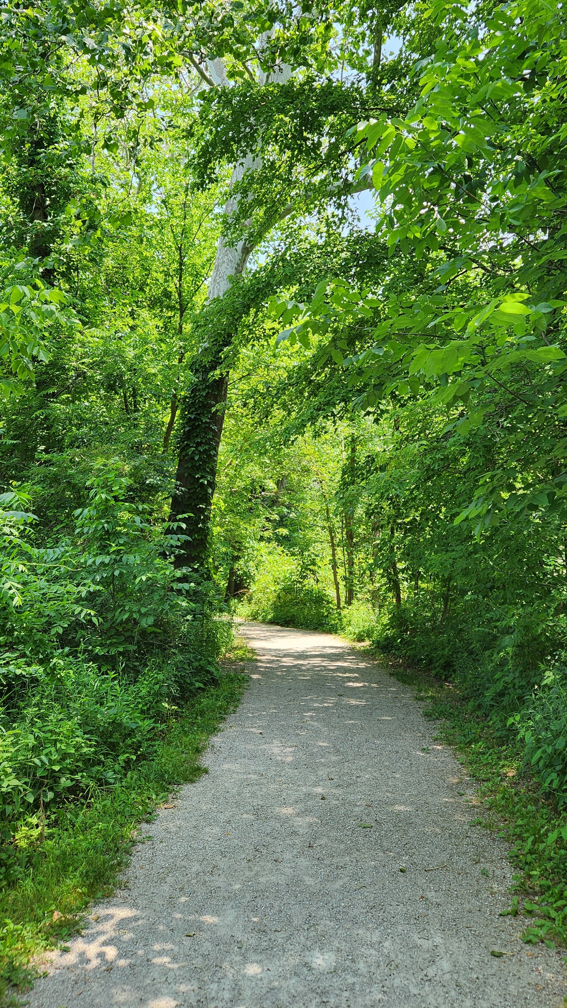 Quiet Stroll