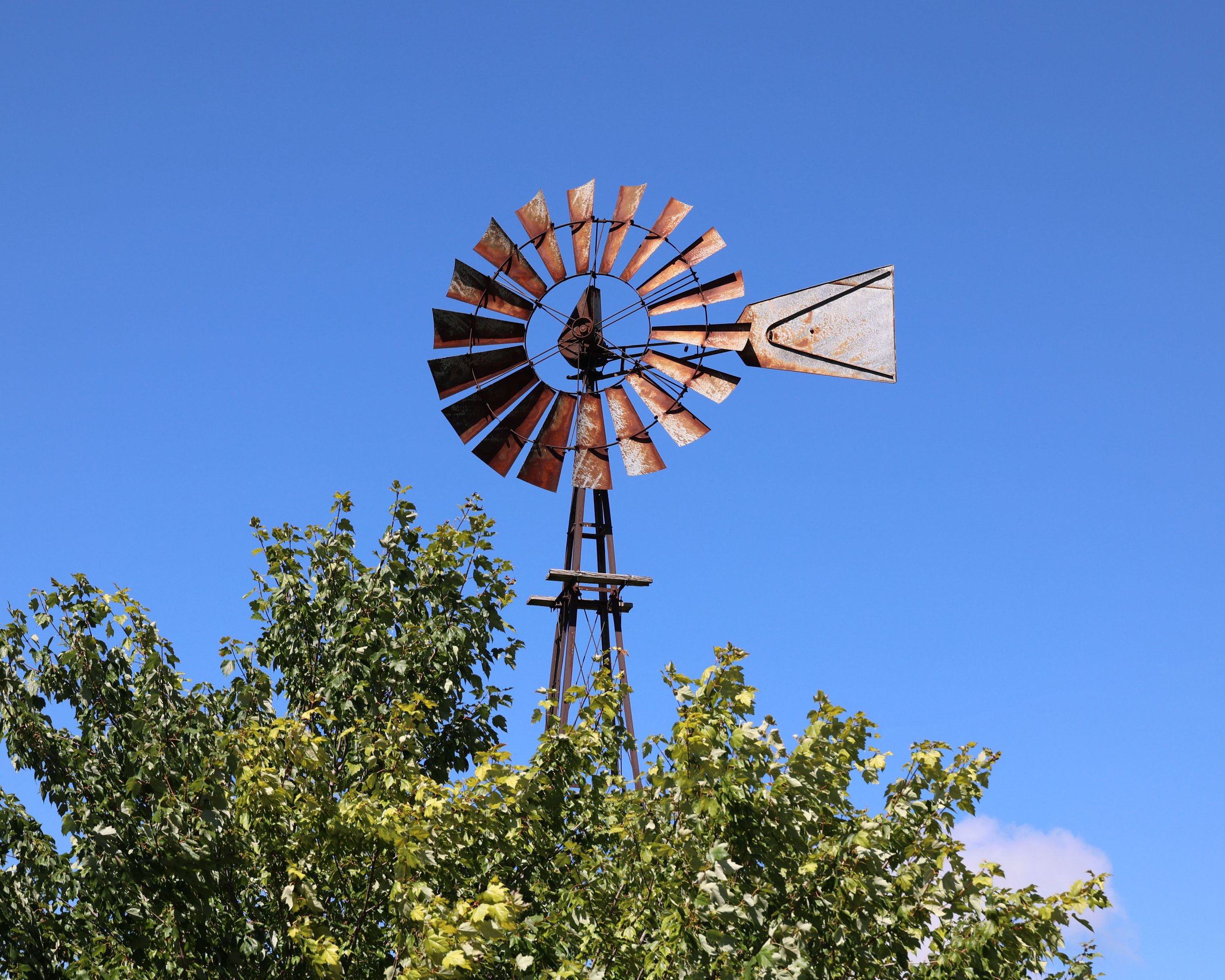 The Windmill