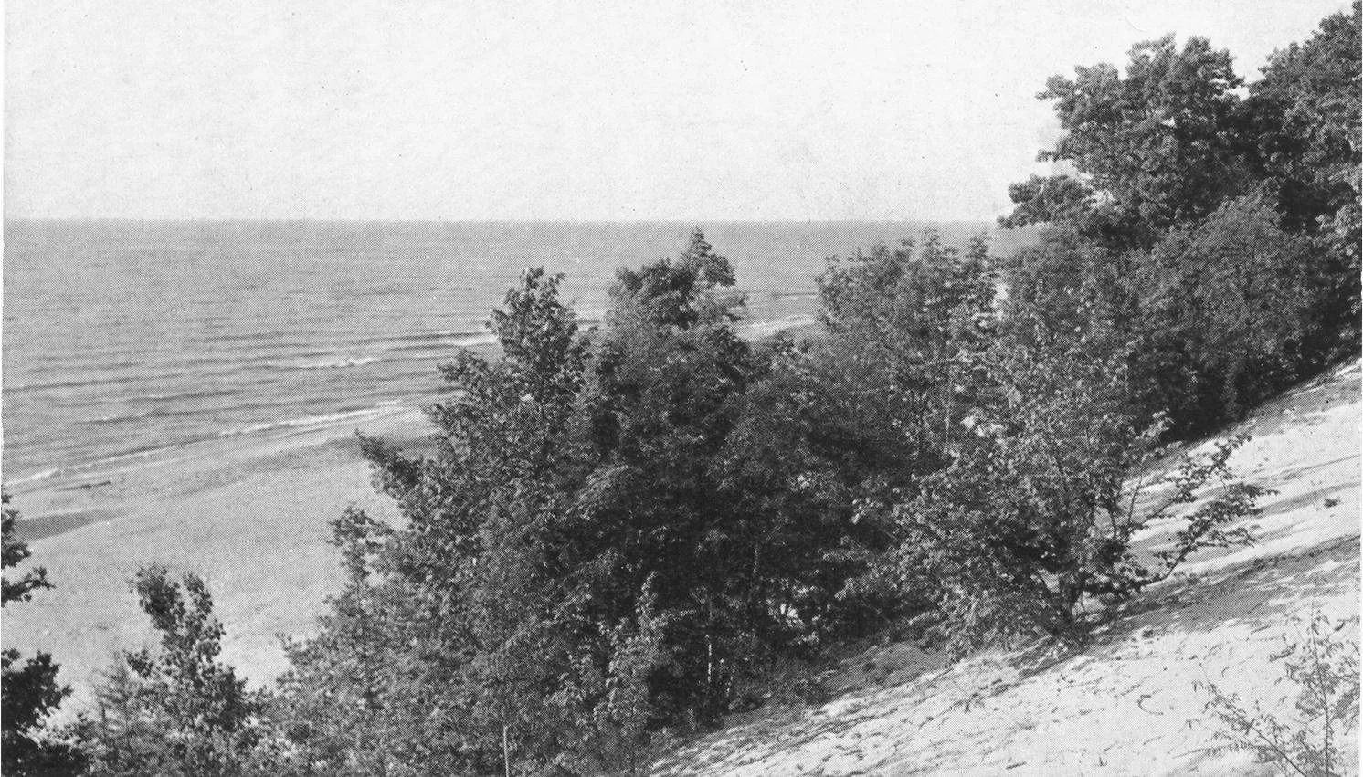 The Great State of Hagar