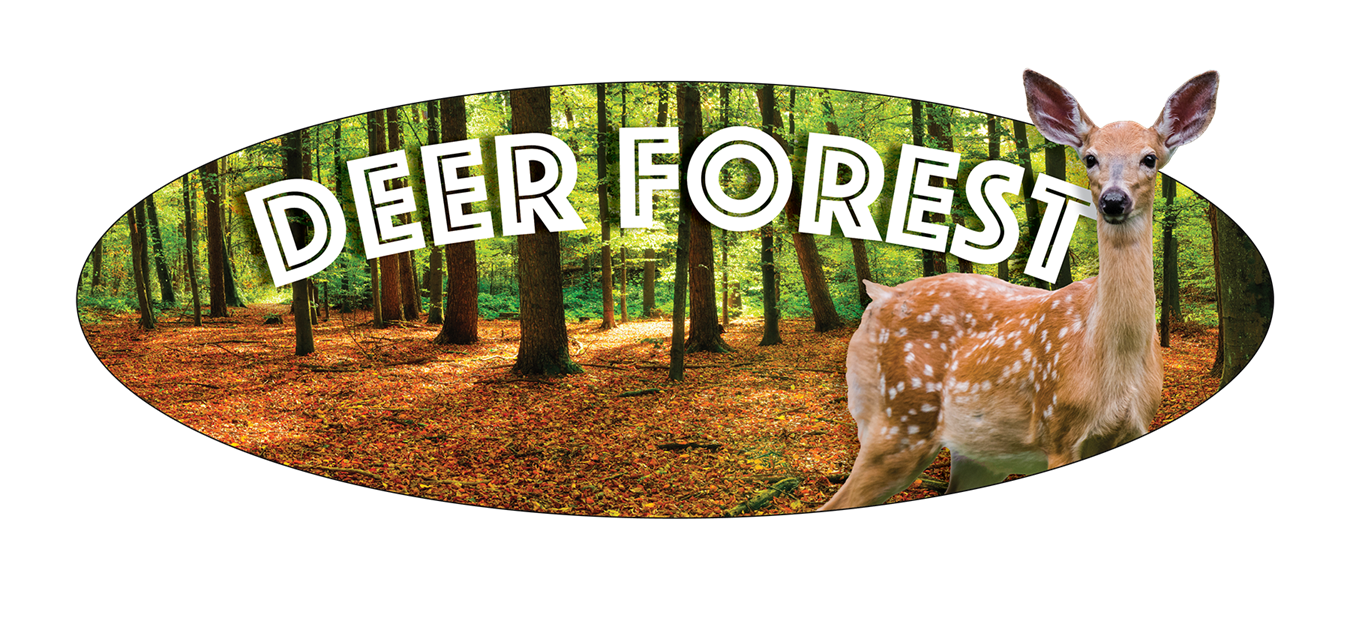 Deer Forest: Wonderland Memories