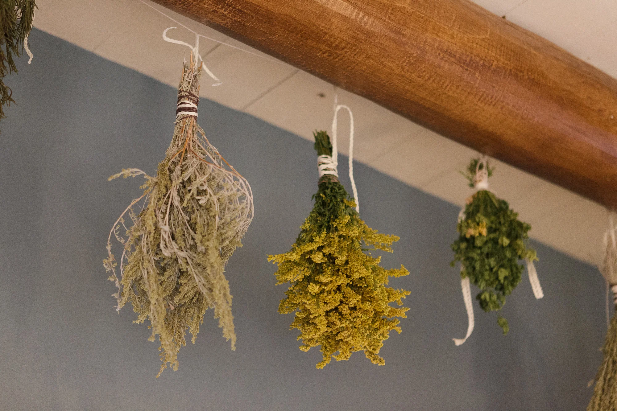 Drying herbs