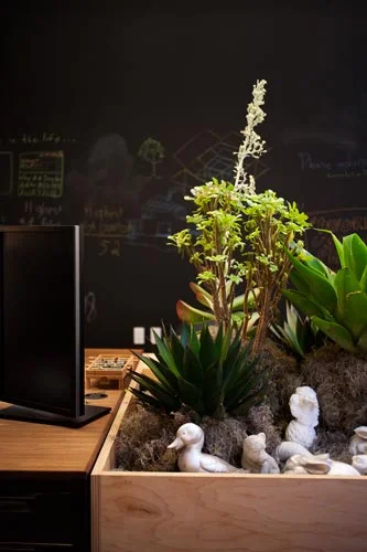 planter.jpg