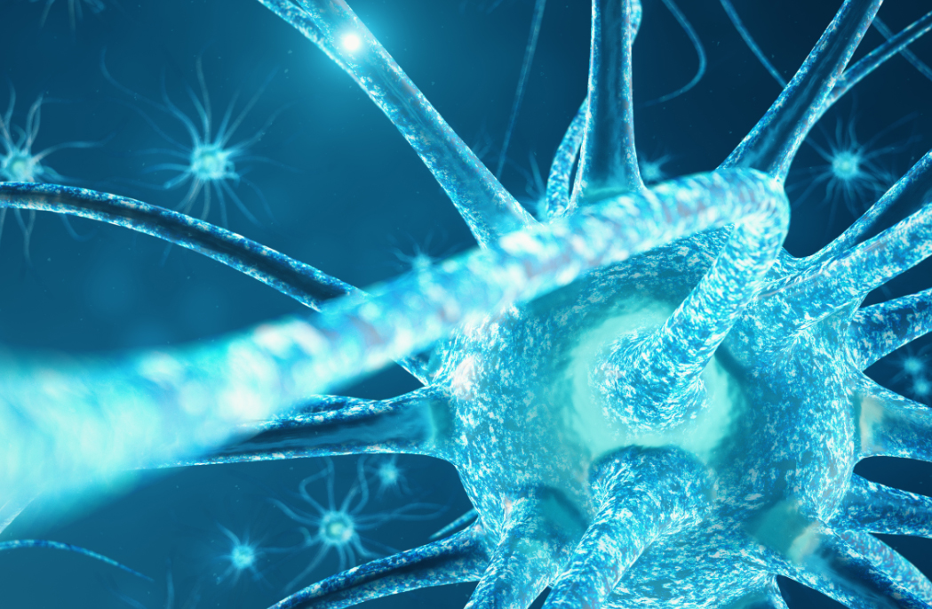 nerve-cell.jpg