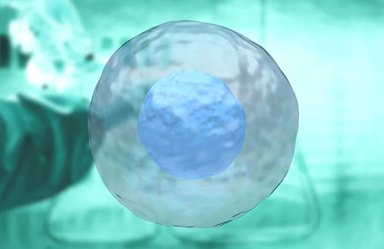 stem-cells-freepik.jpg
