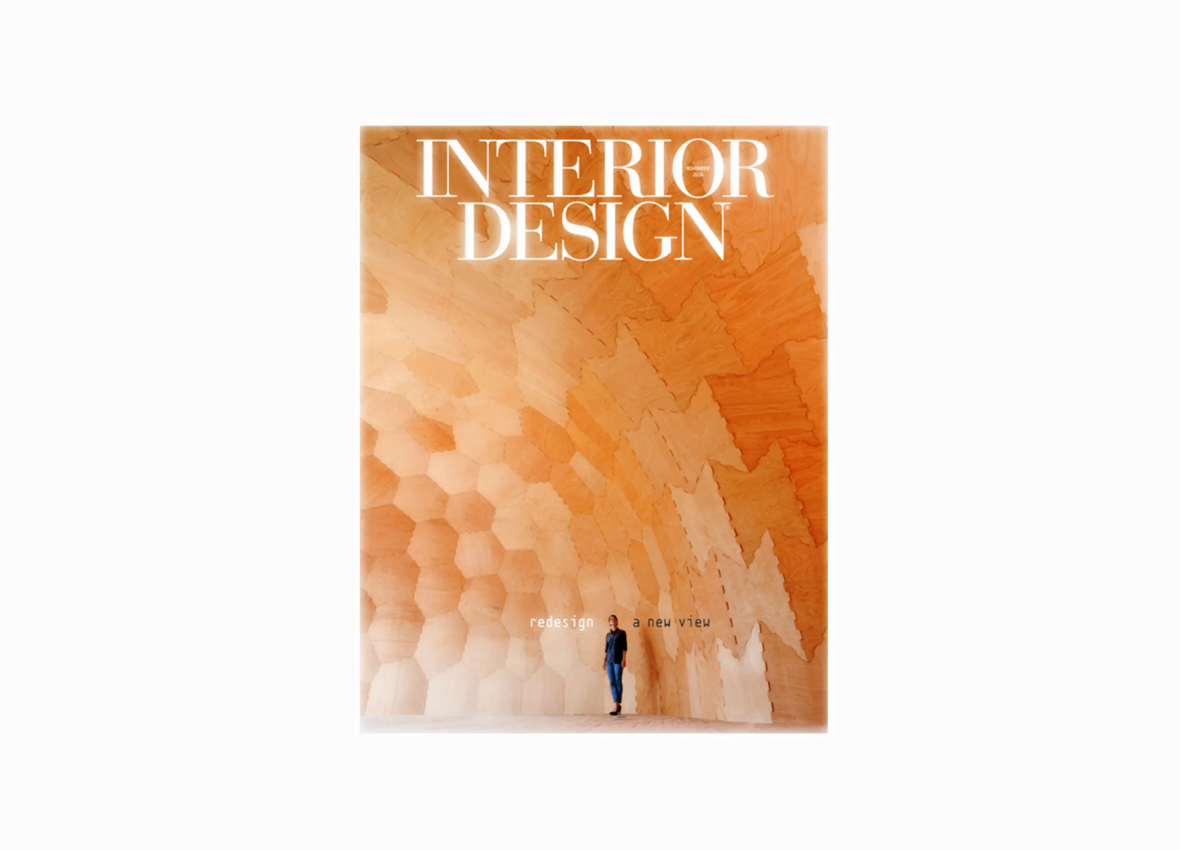 int des cover.jpg