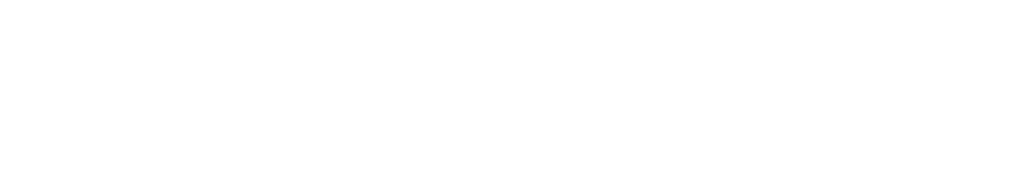 the energy manager