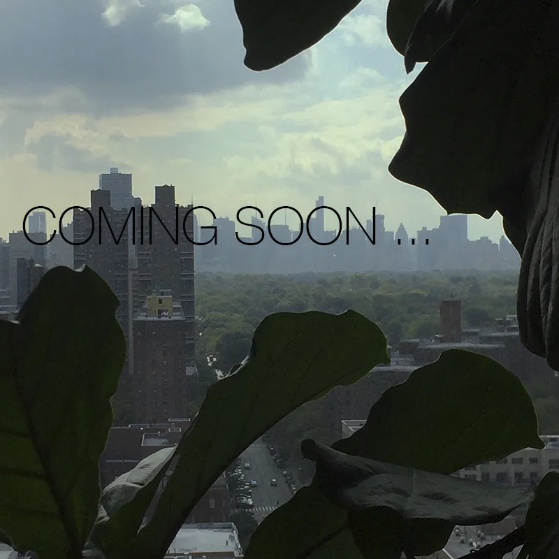 COMINGSOON-1485.jpg