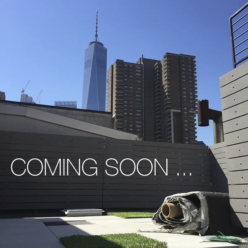 COMINGSOON-363.jpg