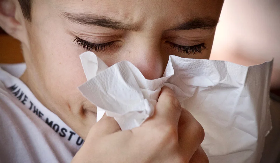 Аллергический ринит у взрослых