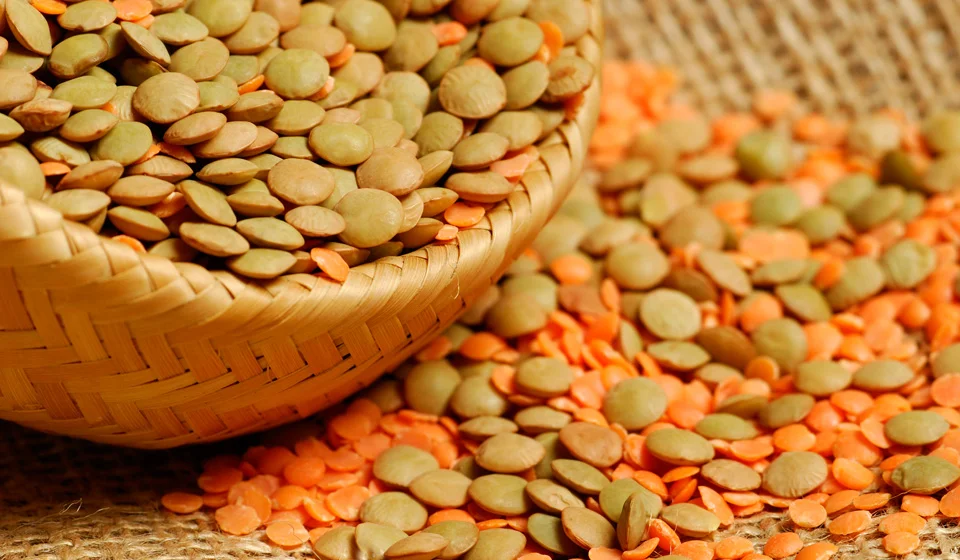 Чечевица: польза и вред для организма