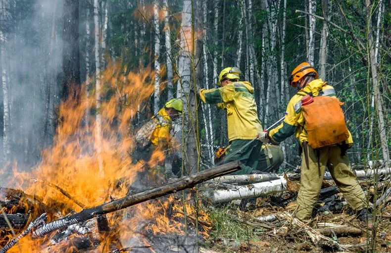 В РФ разрастаются лесные пожары: горит уже больше 2 млн га, дым дошел до Урала. ВИДЕО