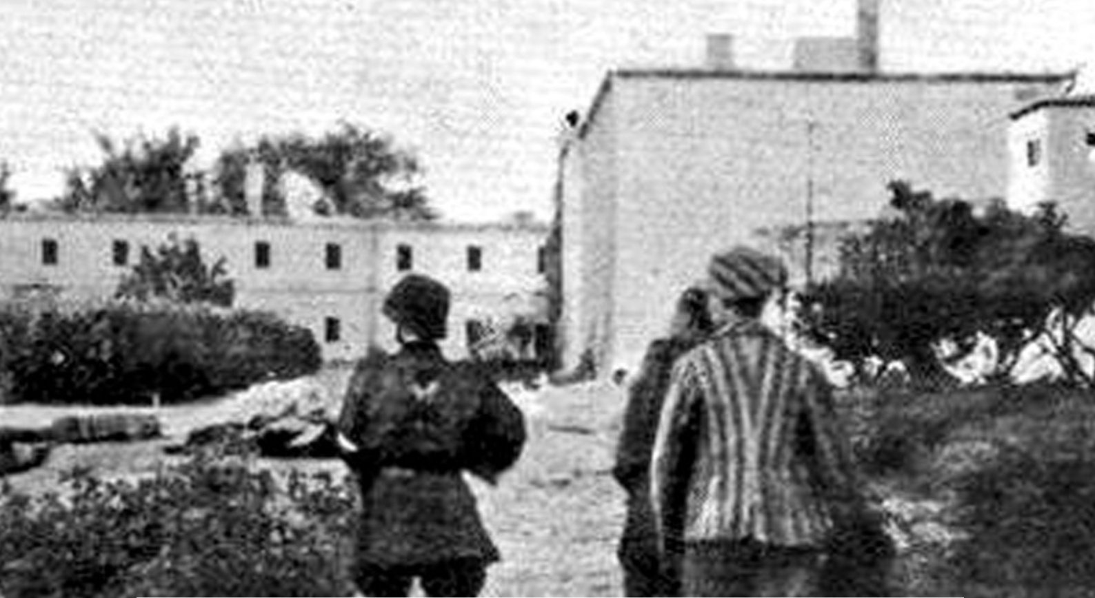 "Варшавский концлагерь", которого не было: в "Википедии" 15 лет существовал фейк о выдуманном нацистском лагере смерти