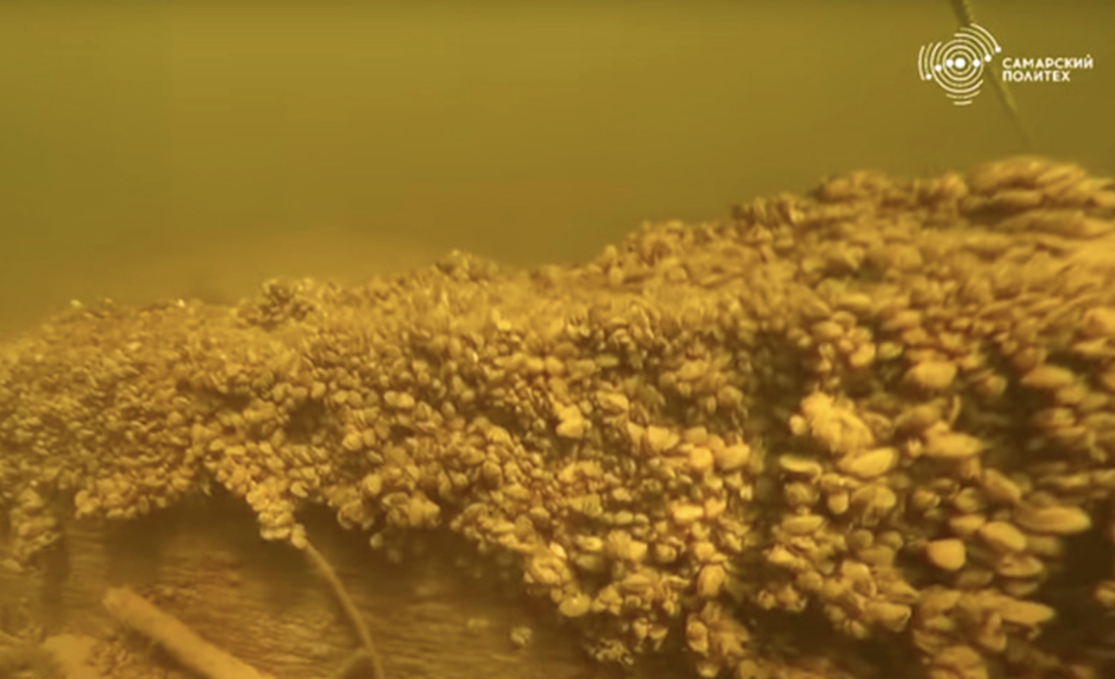 На дне Волги под Самарой нашли огромное старинное судно, затонувшее 600 лет назад. Ученые считают, что оно не русское. ВИДЕО