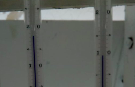 В Антарктике зафиксирован температурный рекорд: +20 градусов по Цельсию