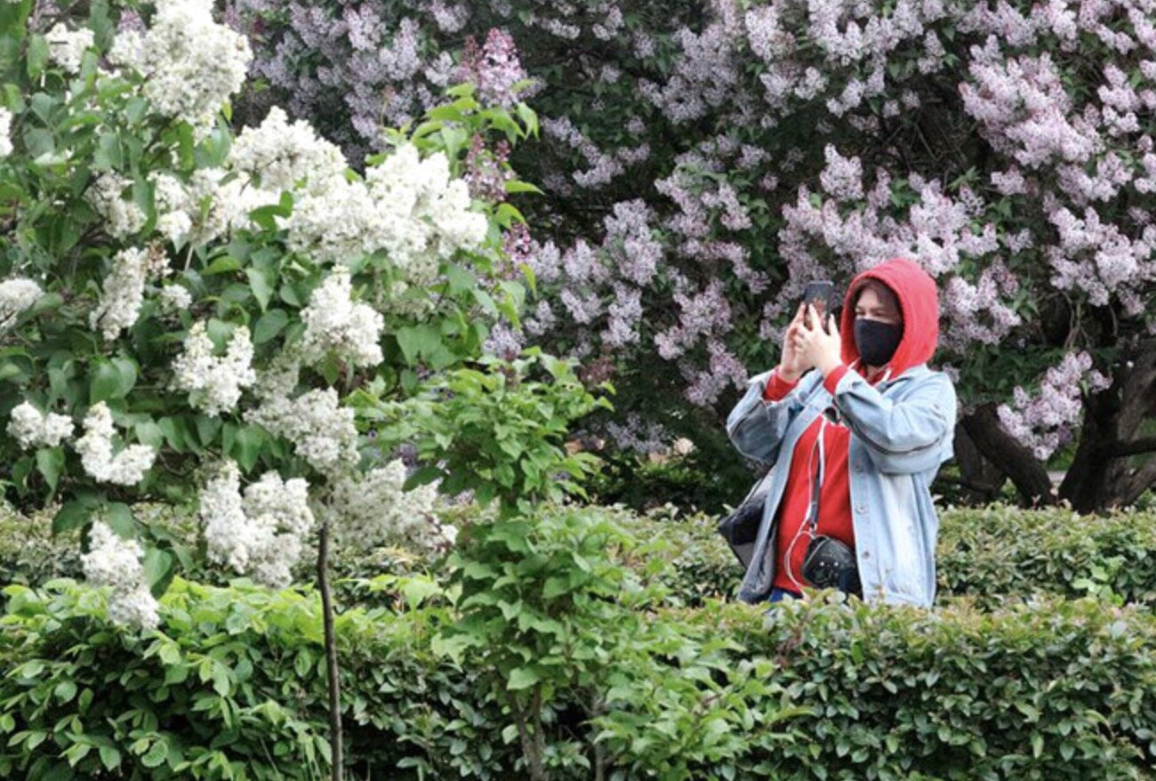 В Москве продлили самоизоляцию до 14 июня, открывая при этом парки и стадионы