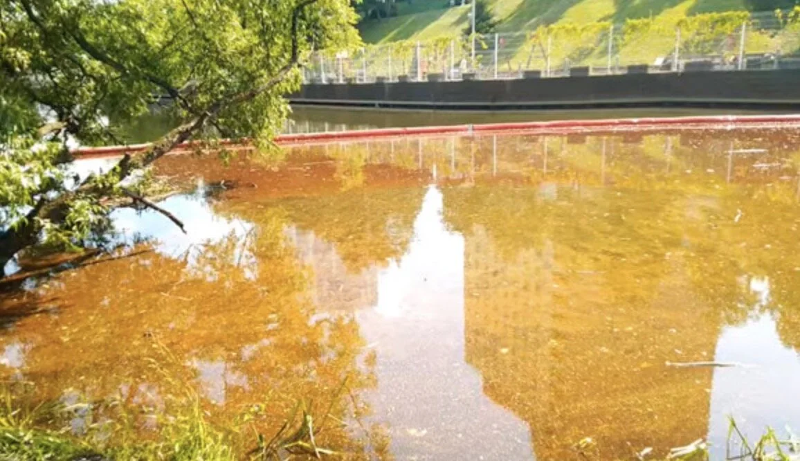 Загрязнение из-за нефтеразлива в Химкинском водохранилище близ Москвы в тысячу раз превысило норму. ВИДЕО