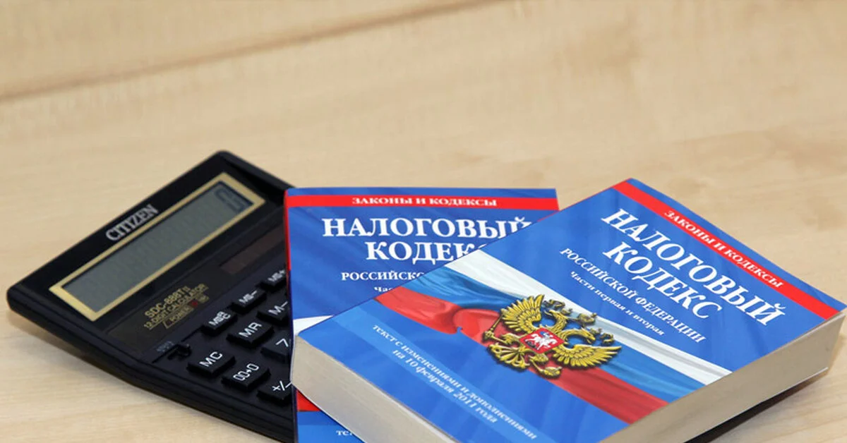 Состоятельные люди в России подвергнутся особому налоговому контролю: для таковых создали особую инспекцию