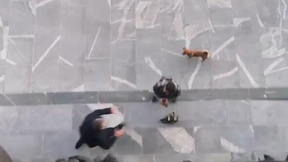 «Хватит с меня локдауна!»: мужчина с бензопилой пытался прорваться в парламент Словении