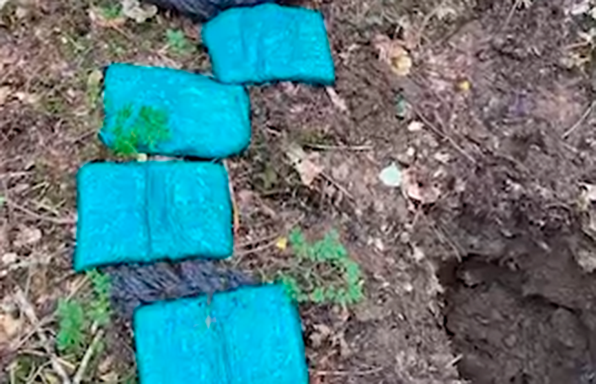 В Минской области задержали наркокурьера - международника