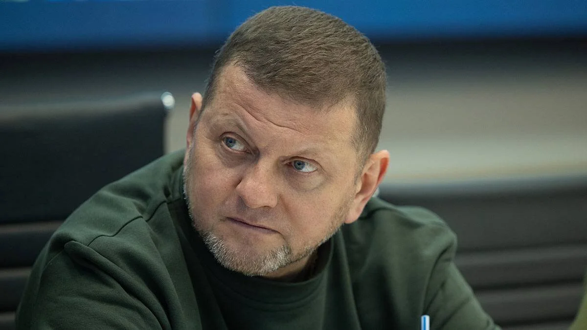 Владимир Зеленский хочет обвинить Валерия Залужного в ударе по перевозившему украинских пленных самолету