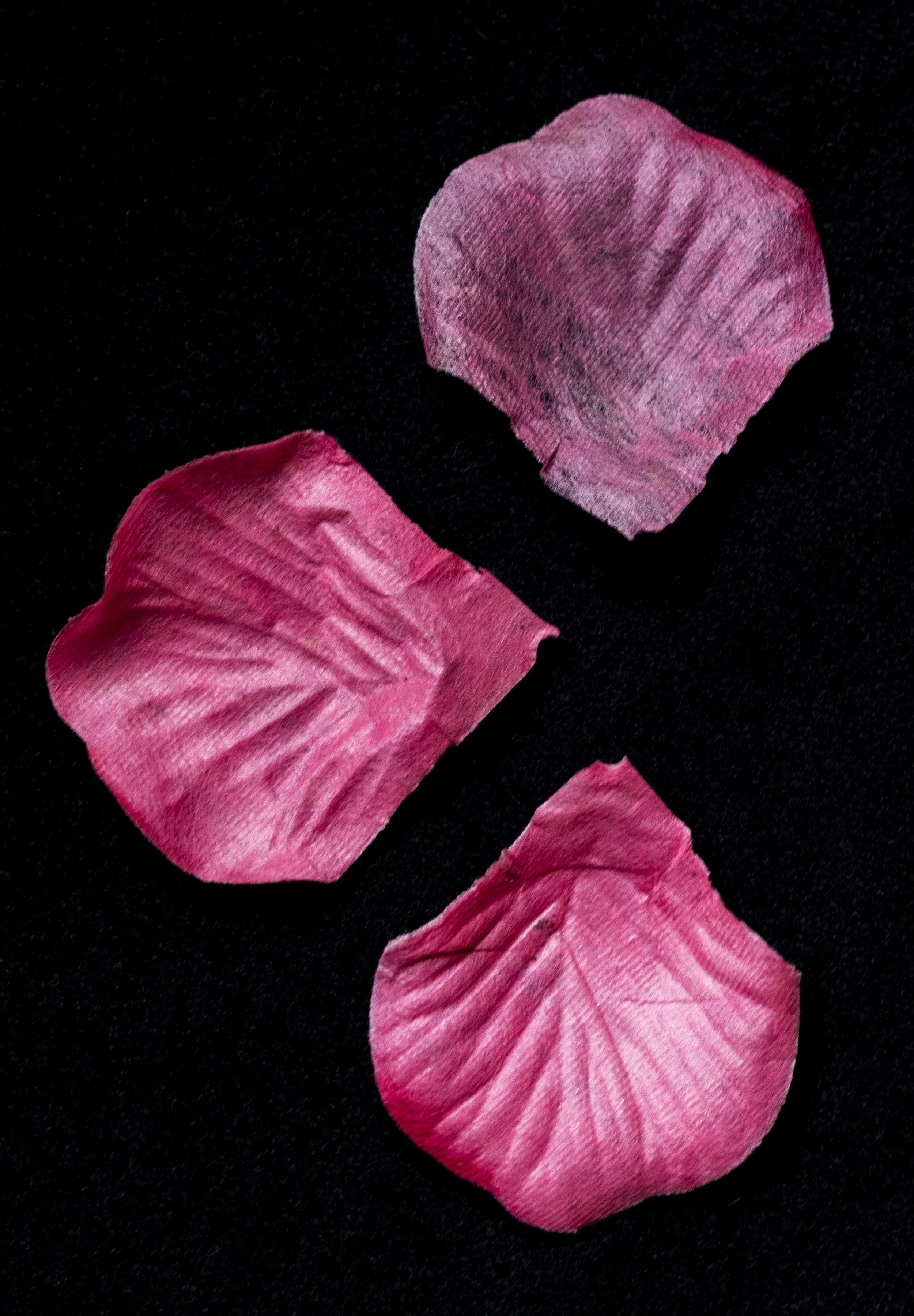 fakepetals.jpg