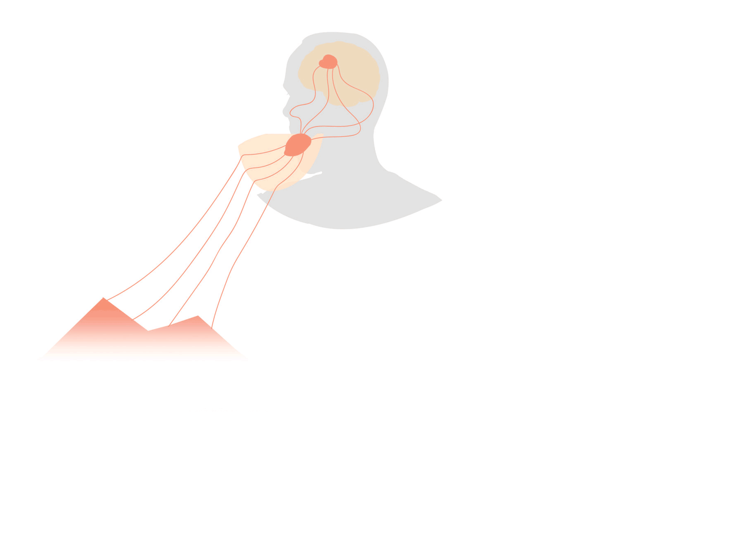 NATION OF TACTILE EMPATHY