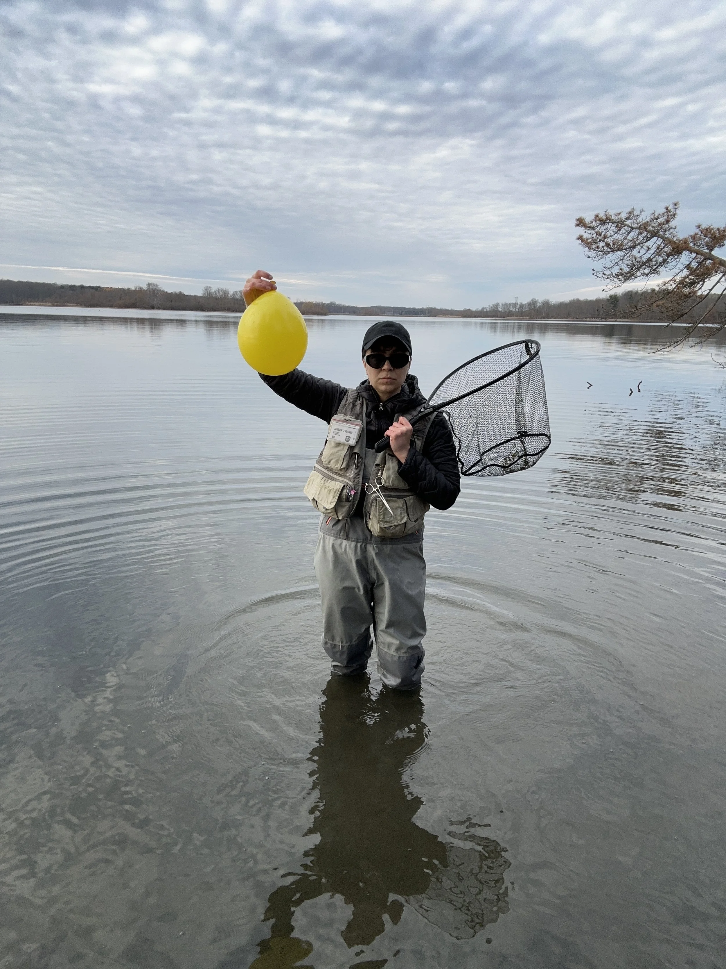 ARIELEFTERIN_100 DAYS OF BALLOONS_DONTSTEAL__IMG_9521 2.JPG