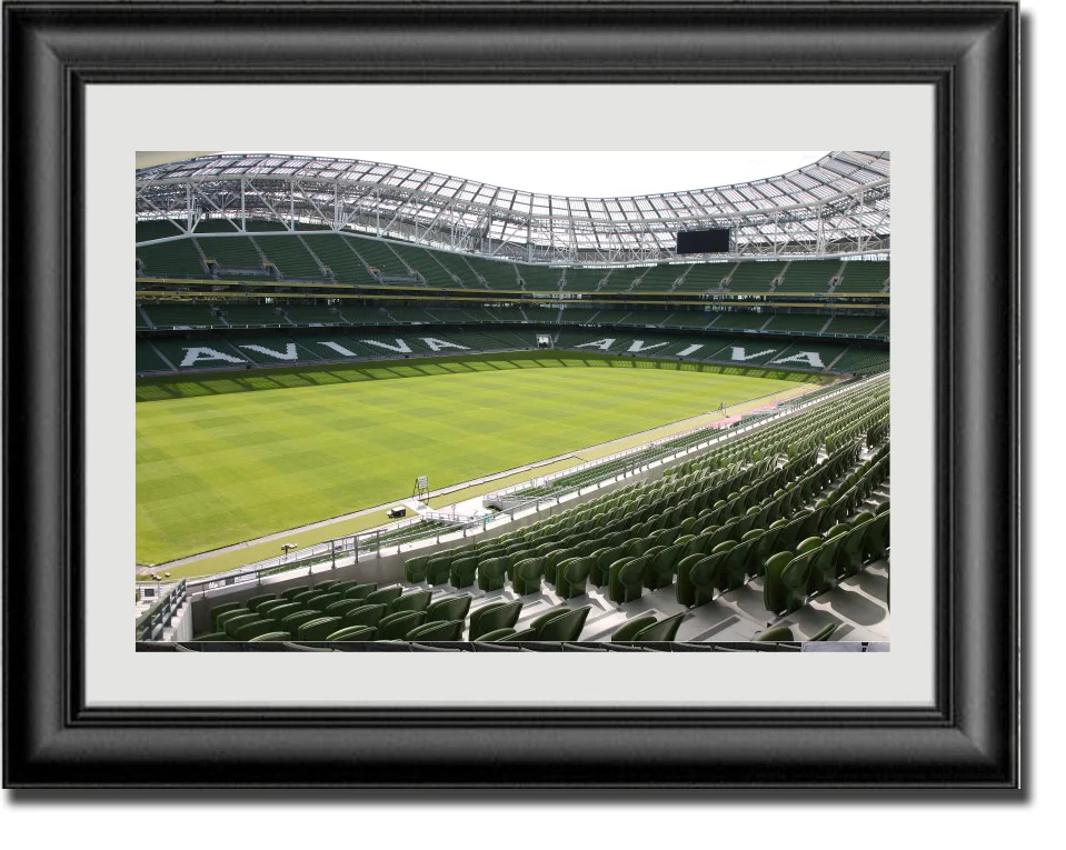 Project_Pic_Landscape_Aviva.jpg