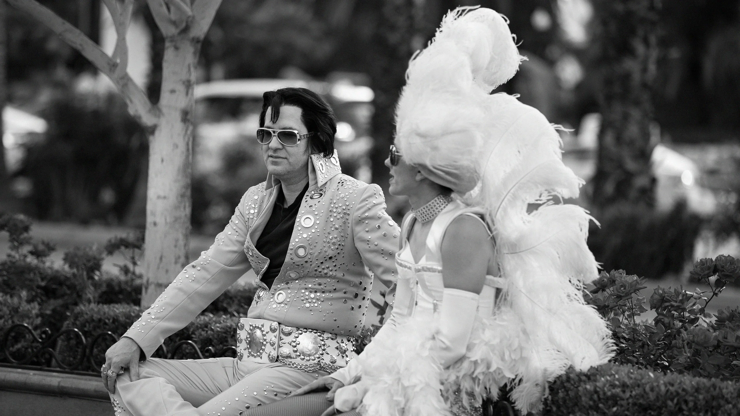 elvis.jpg