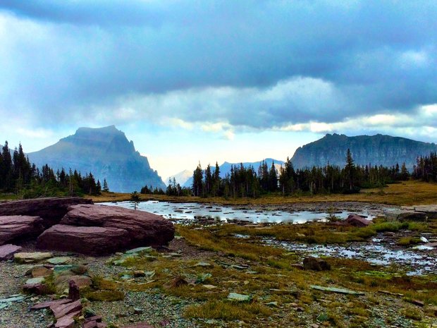 Logan's Pass at Glacier National Park as area wildfires began to subside. (Susan J. Demas)