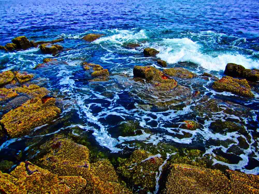 Acadia National Park, Maine, May 2012