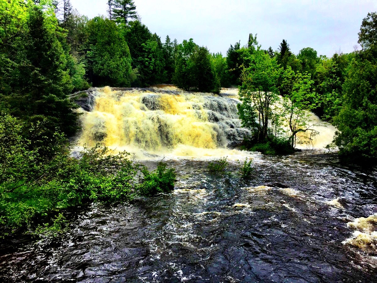 Bond Falls/ Susan J. Demas
