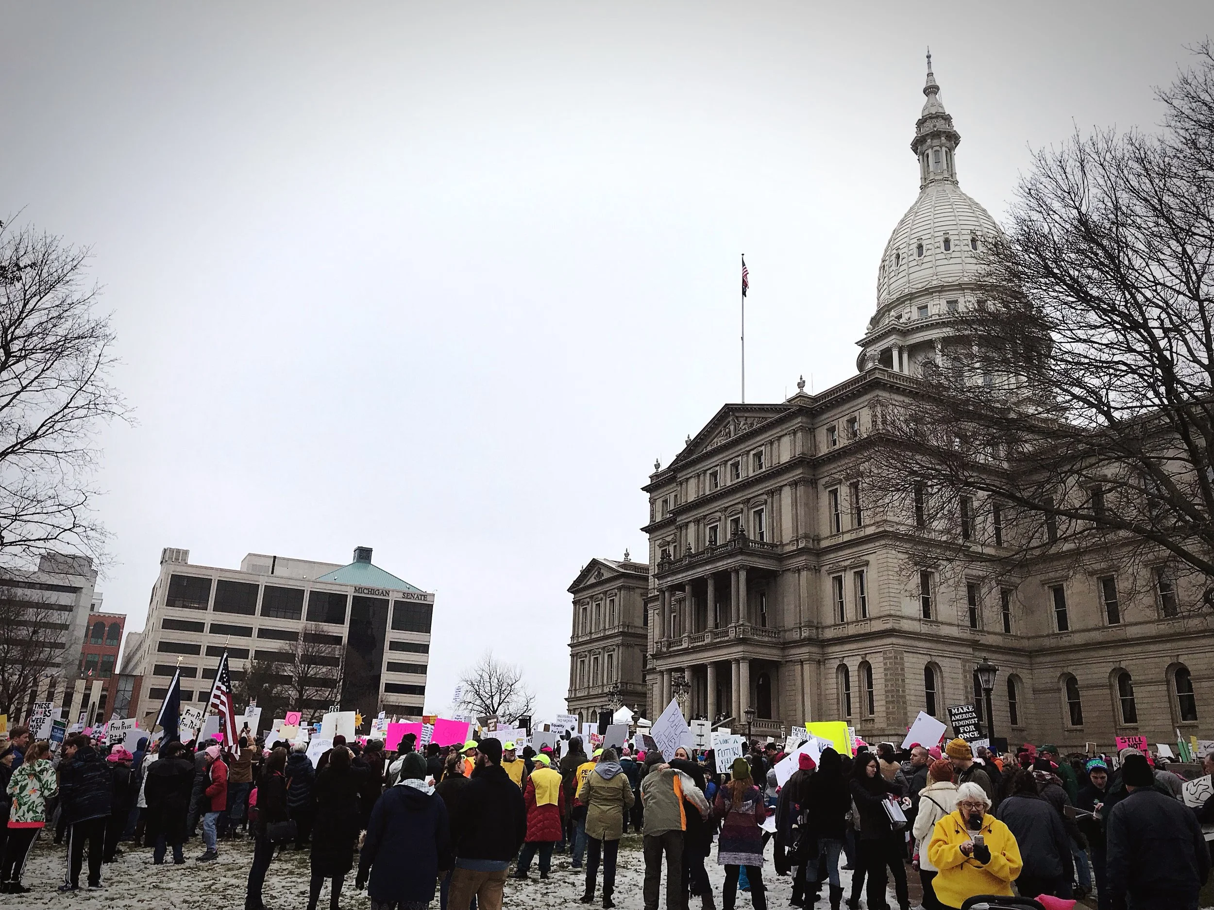 Susan J. Demas/Women's March, January 21, 2018