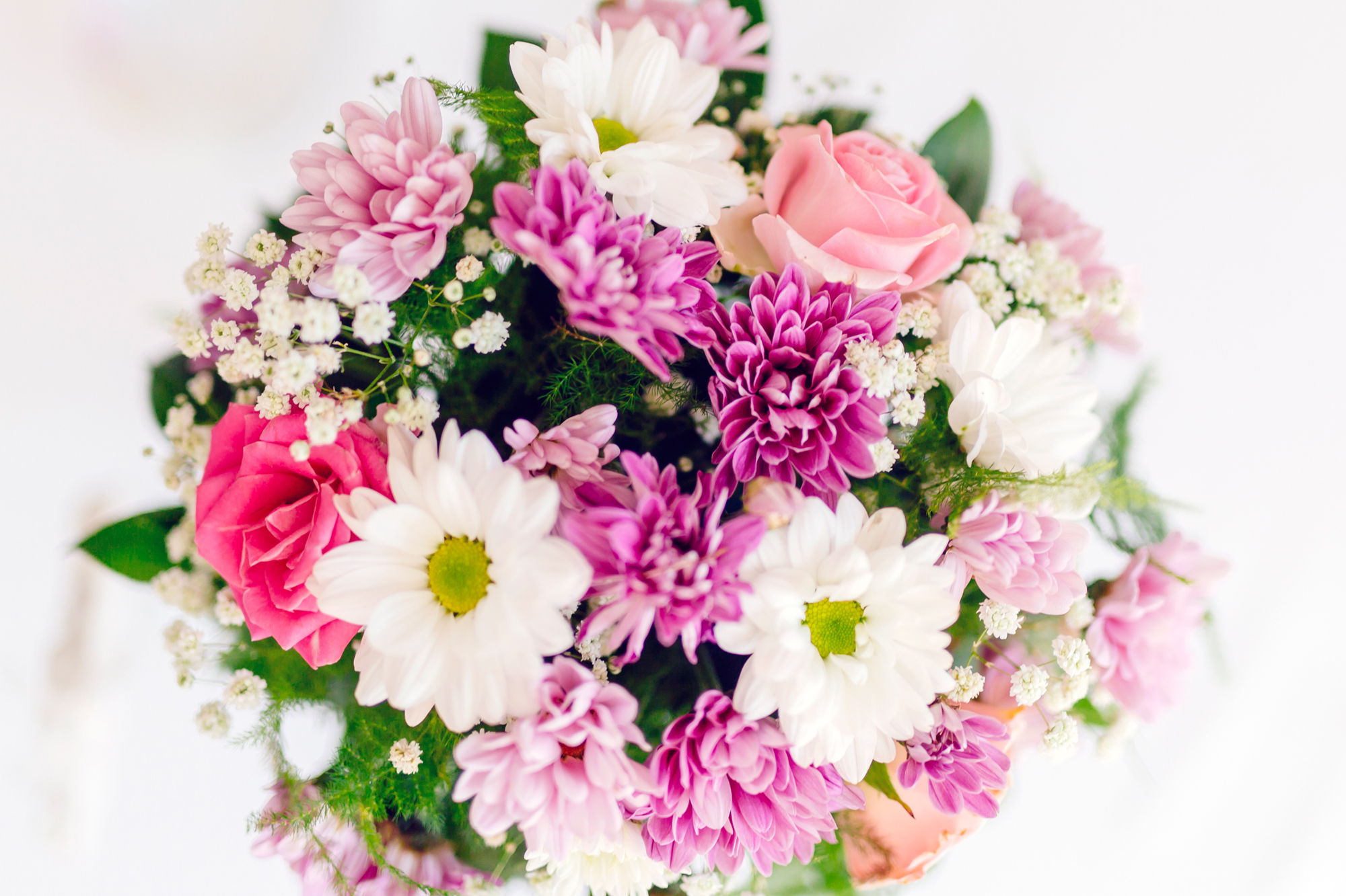 Live Love Flowers Header Image 9.jpg