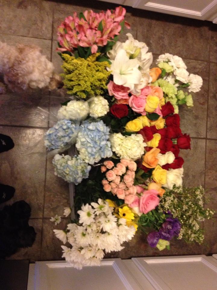 My first picture on my business page. A bucket of various flowers and my 2 happy helpers checking it out