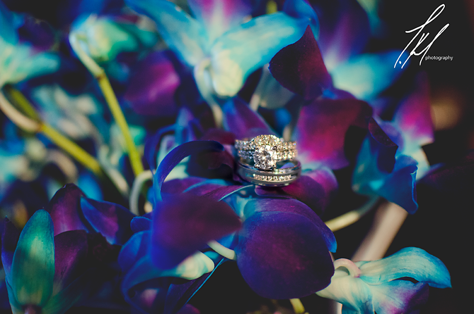 Image by Trisha K. Photography