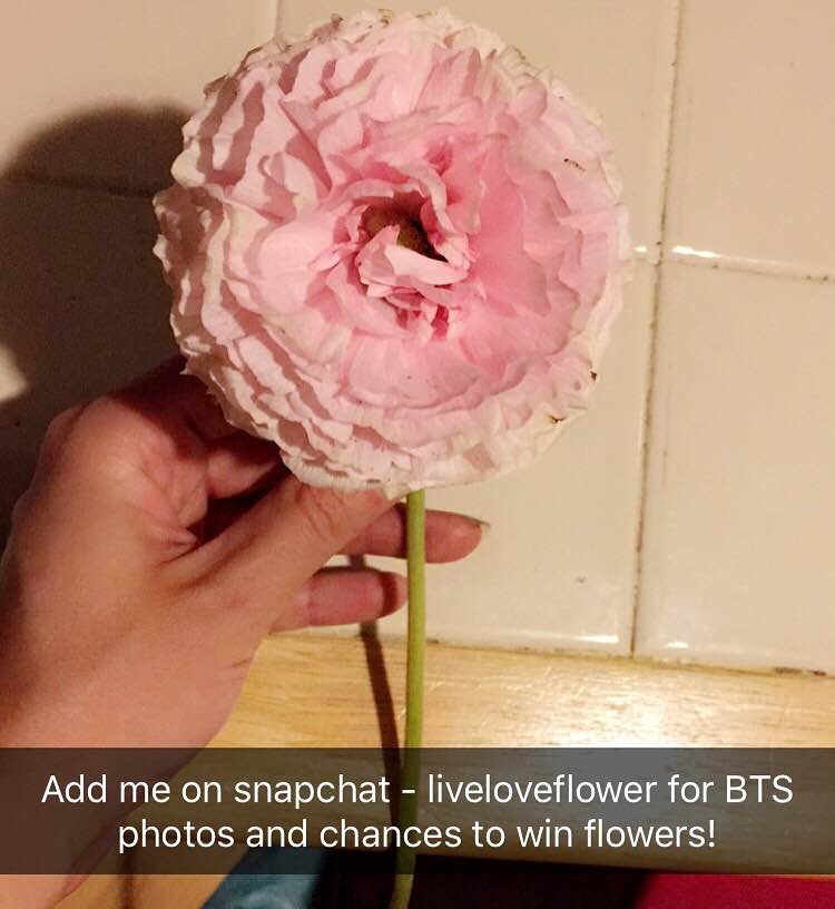 Ranunculus from a wedding last week.