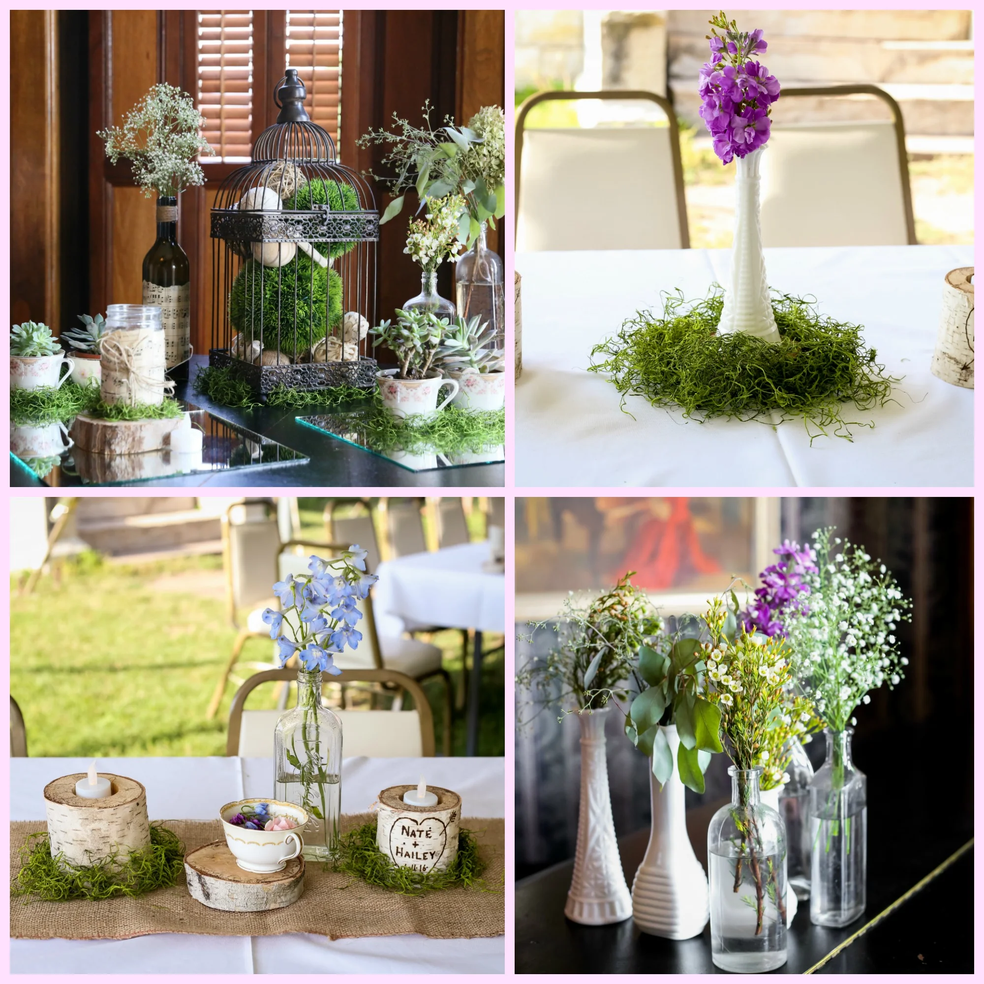 Images by Photofrog