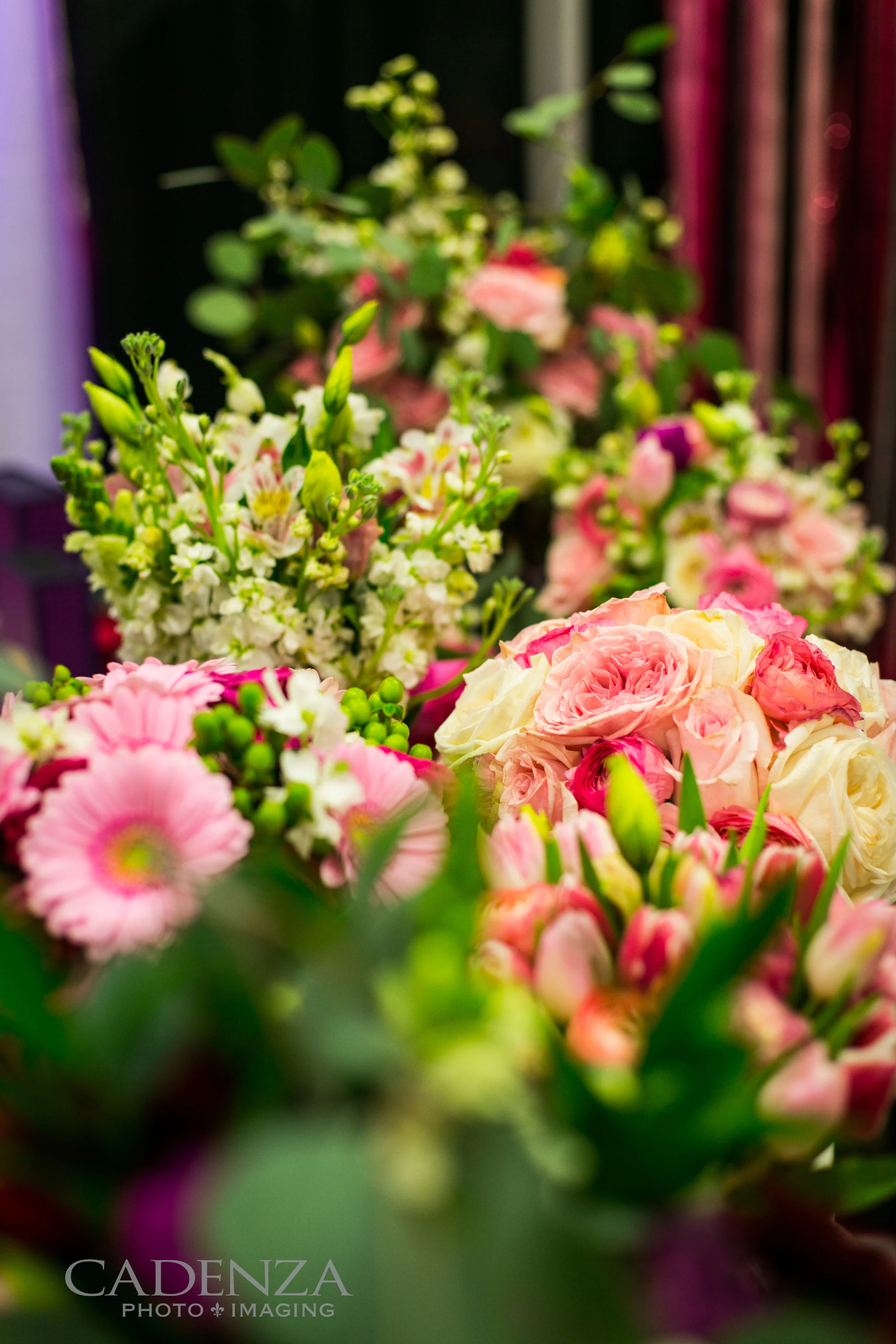 Image by Cadenza Photo Imaging