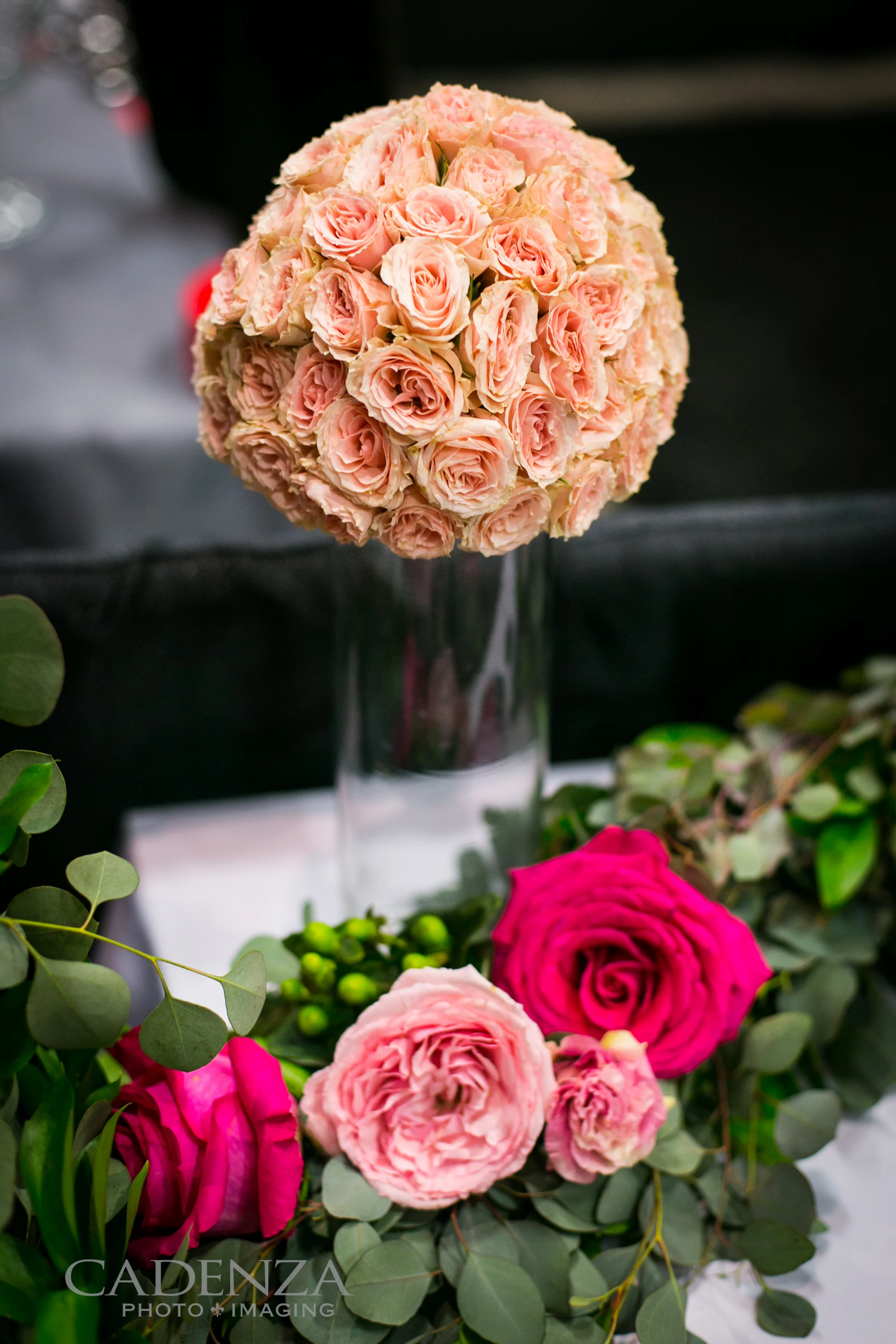 Image by Cadenza Photo Imaging
