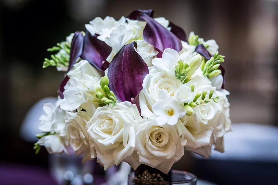 Image by Fetography Portraits