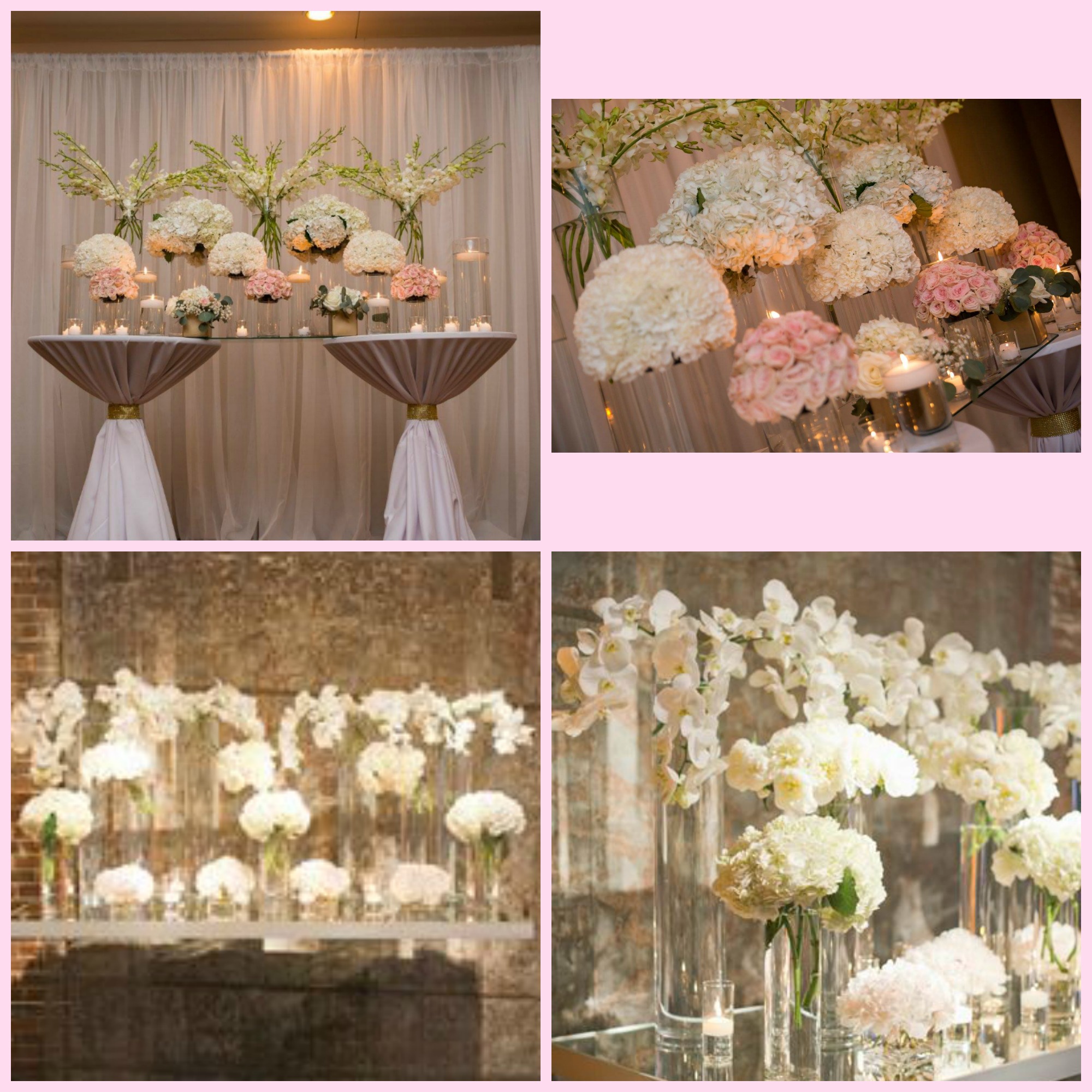 Top images - Giraffe Photography , Bottom images - pinterest photos from bride