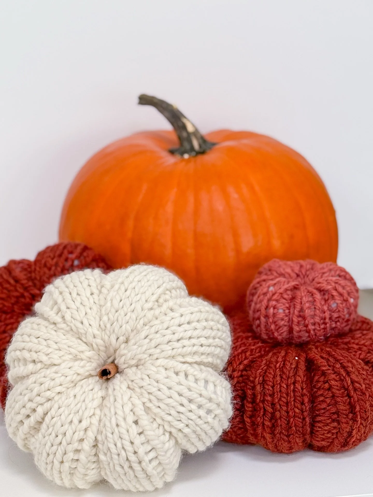 FREE PUMPKIN PATTERN!

Comment &ldquo;DIYPUMPKIN&rdquo; for the pattern 👀🎃👻 (full tutorial on YouTube, and blog)
.
.
.
#knitfalldecor #knitpumpkinpattern #diypumpkin #knitpumpkin #handknitpumpkin #craftingisbetter #craftnight #alwaysknitting #knit