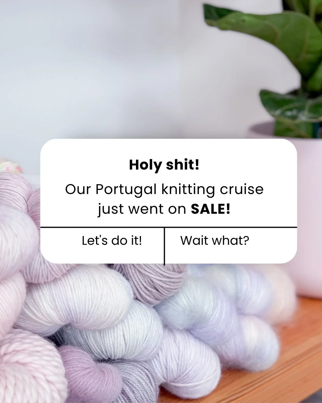 Ermagerd! If you were looking at joining myself, @xandypeters , @themarlybird , @julieknitsinparis and @rosehavenyarn in Portugal next fall, welp&hellip; the time to do it is now! 

Comment &ldquo;CRUISE&rdquo; for more info. I made our travel agent 