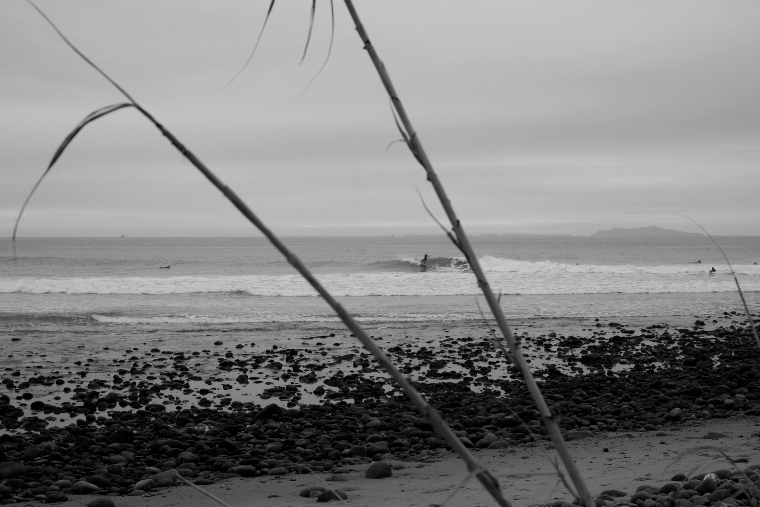 tonycruz.co_01 (18 of 23).jpg