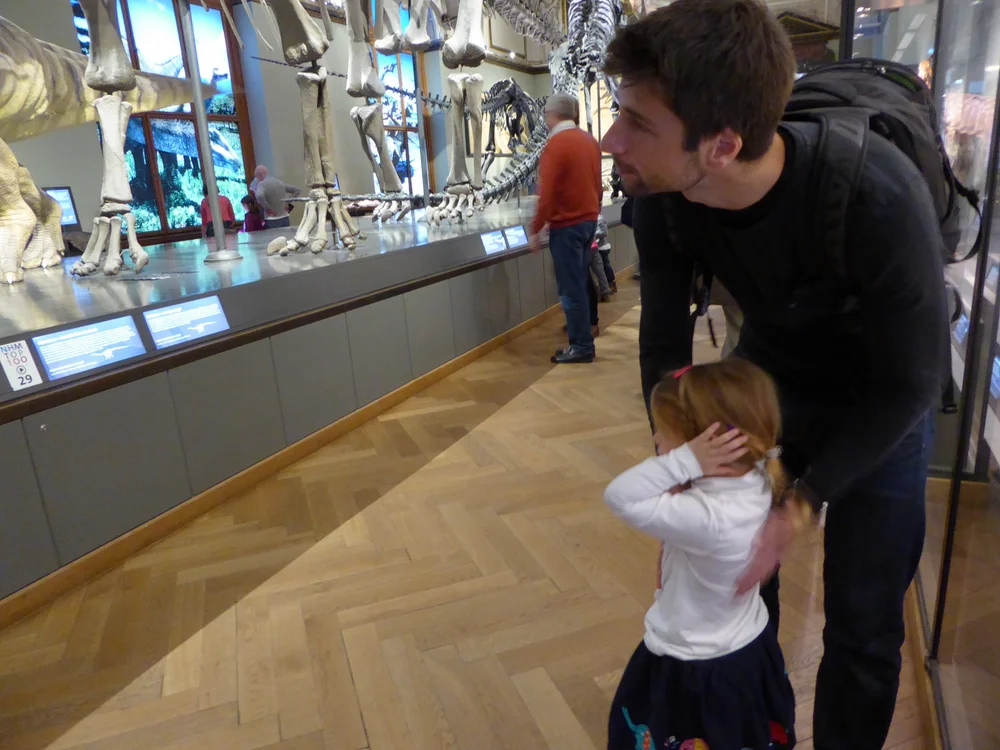 Museum of Natural History